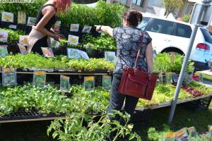 Sejem križani četrtek 10.05.2018 113
